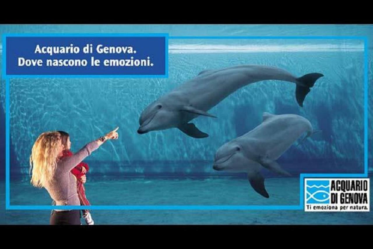 Aquarius Genua